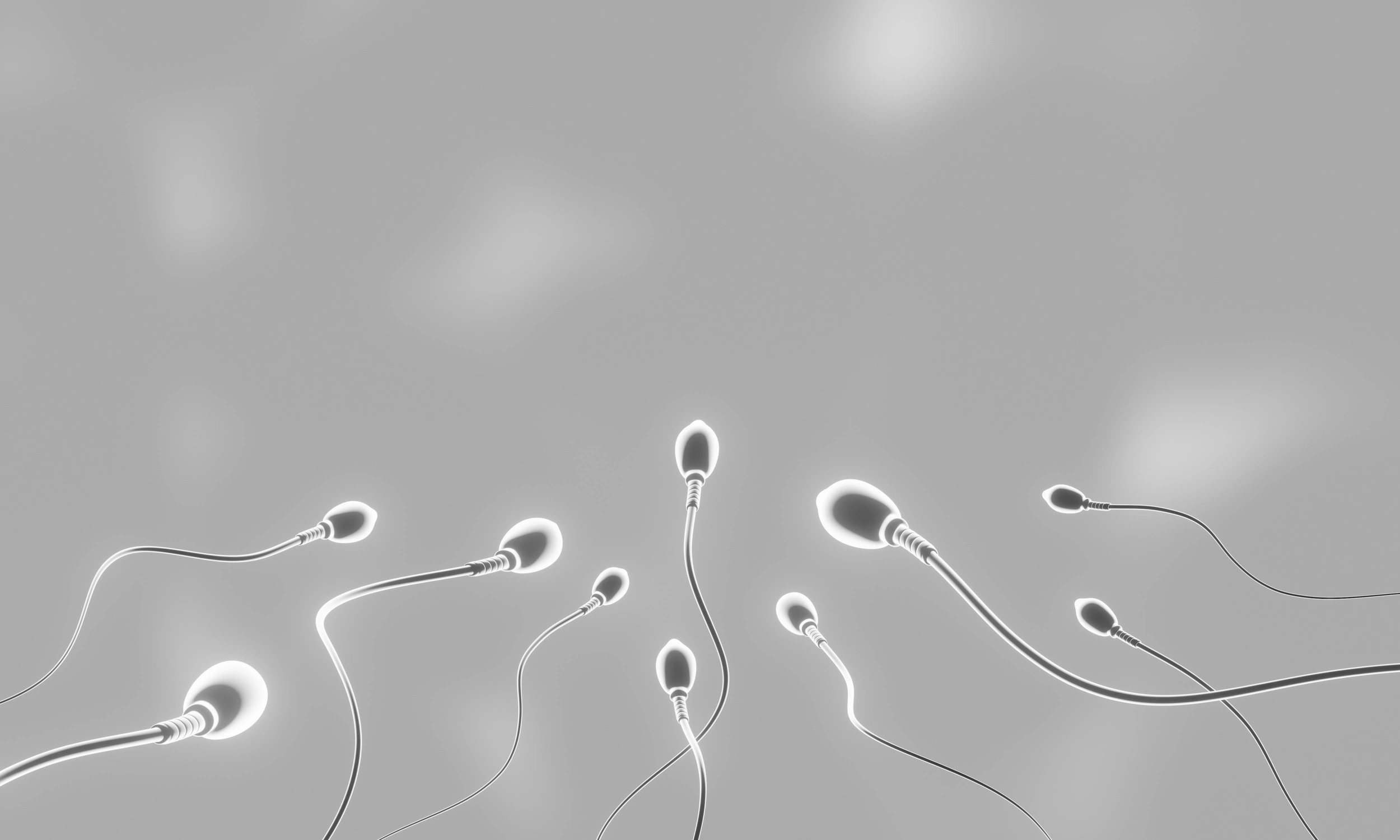 How sperm quality impacts ICSI success rates