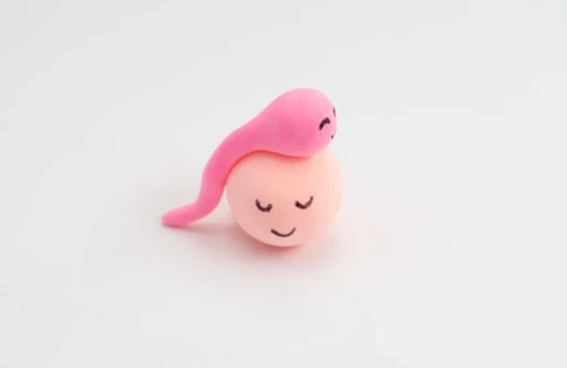 When to Consider Donor Egg or Sperm in IVF: A Clear Guide for First-Time Parents