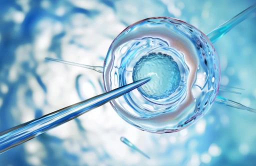 The Future Is Bright: How Technology Is Giving Embryos a Better Chance