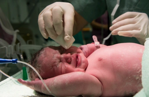 Meet Your Baby’s First Caretakers — The Embryologists