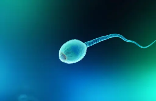 Single Sperm Vitrification – Clear Fertility Insights 