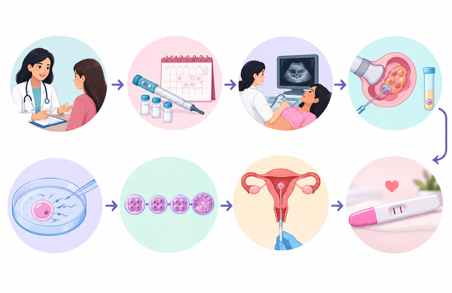 How Long Does IVF Take? A Full Cycle Timeline